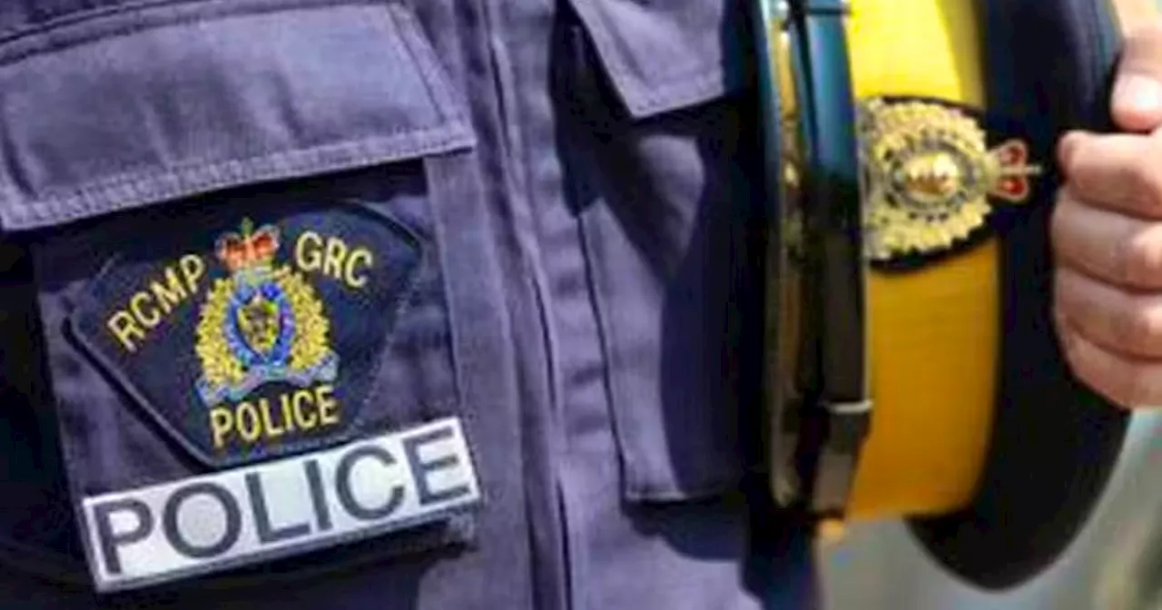 Man facing charges after allegedly firing shot in air during assault incident near Rigolet