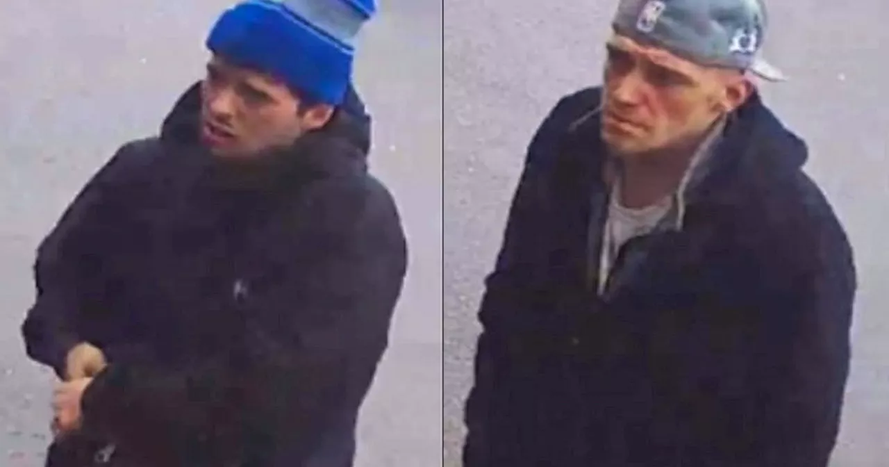 Police looking for suspects in St. John's to Clarenville crime spree in stolen vehicle