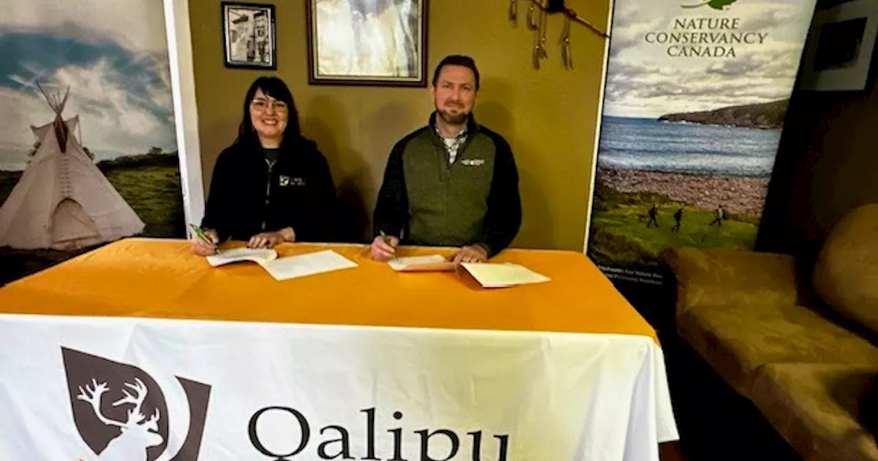 Qalipu and Nature Conservacy of Canada sign MOU to protect wilderness area near Gander