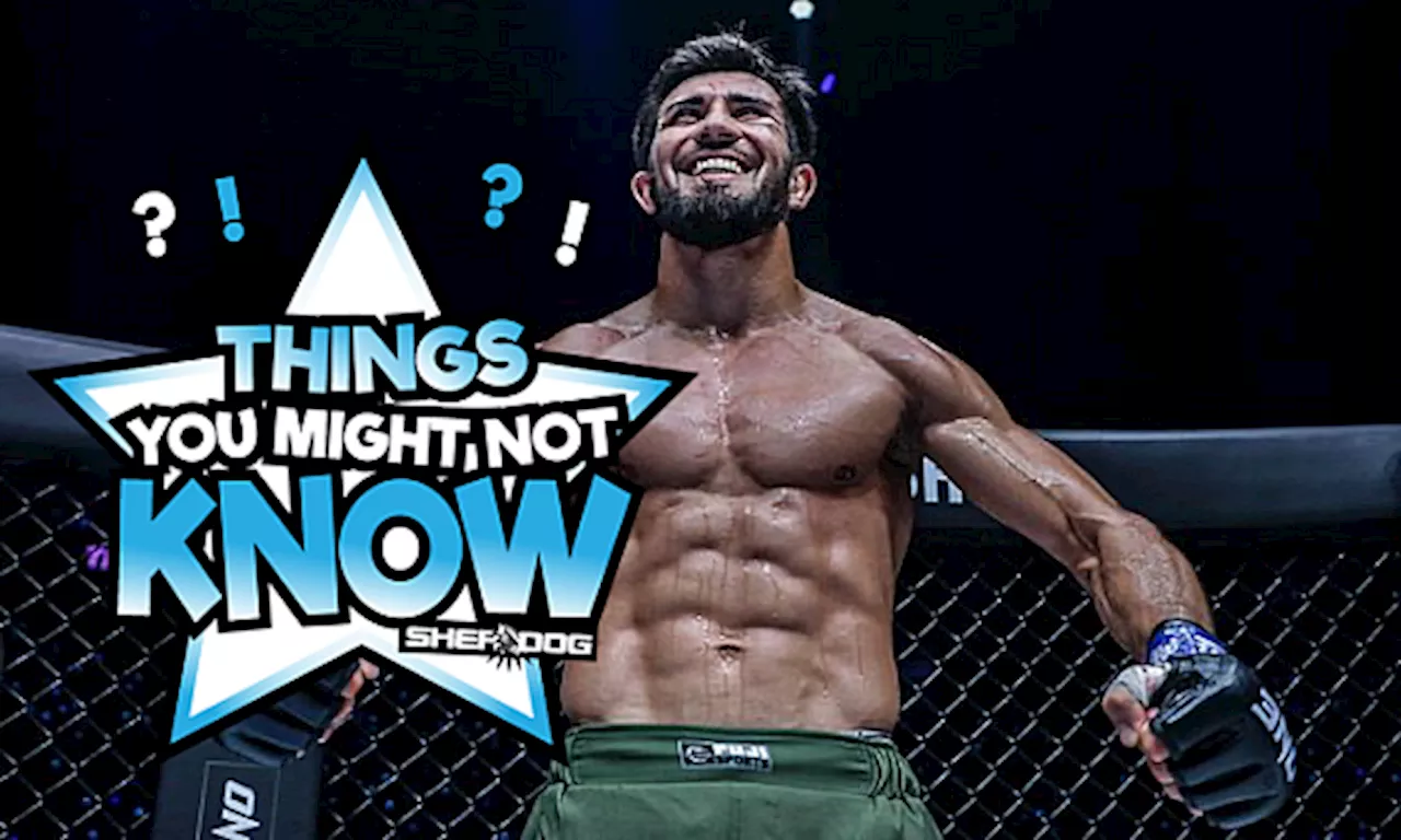 5 Things You Might Not Know About Halil Amir