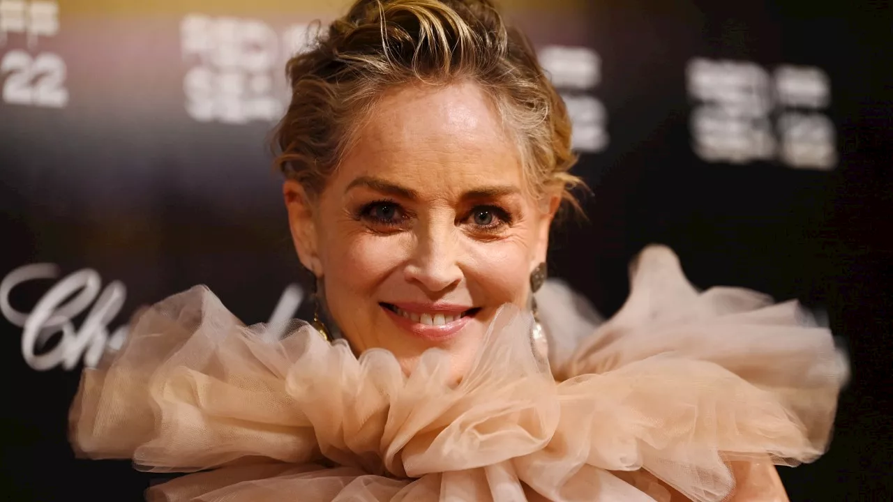 Sharon Stone sued for allegedly causing LA car crash