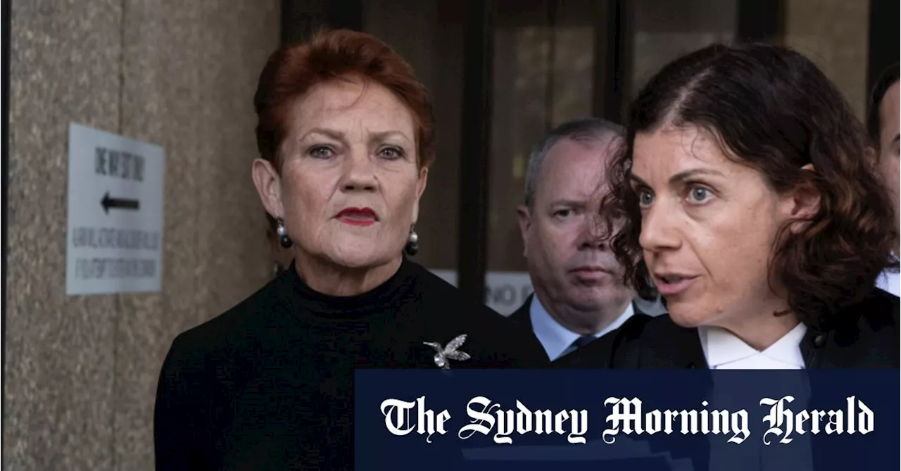 Pauline Hanson grilled over views on Islam during heated court hearing