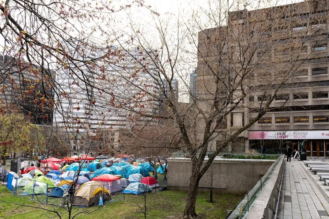 A look at the divestment demands by McGill University protesters
