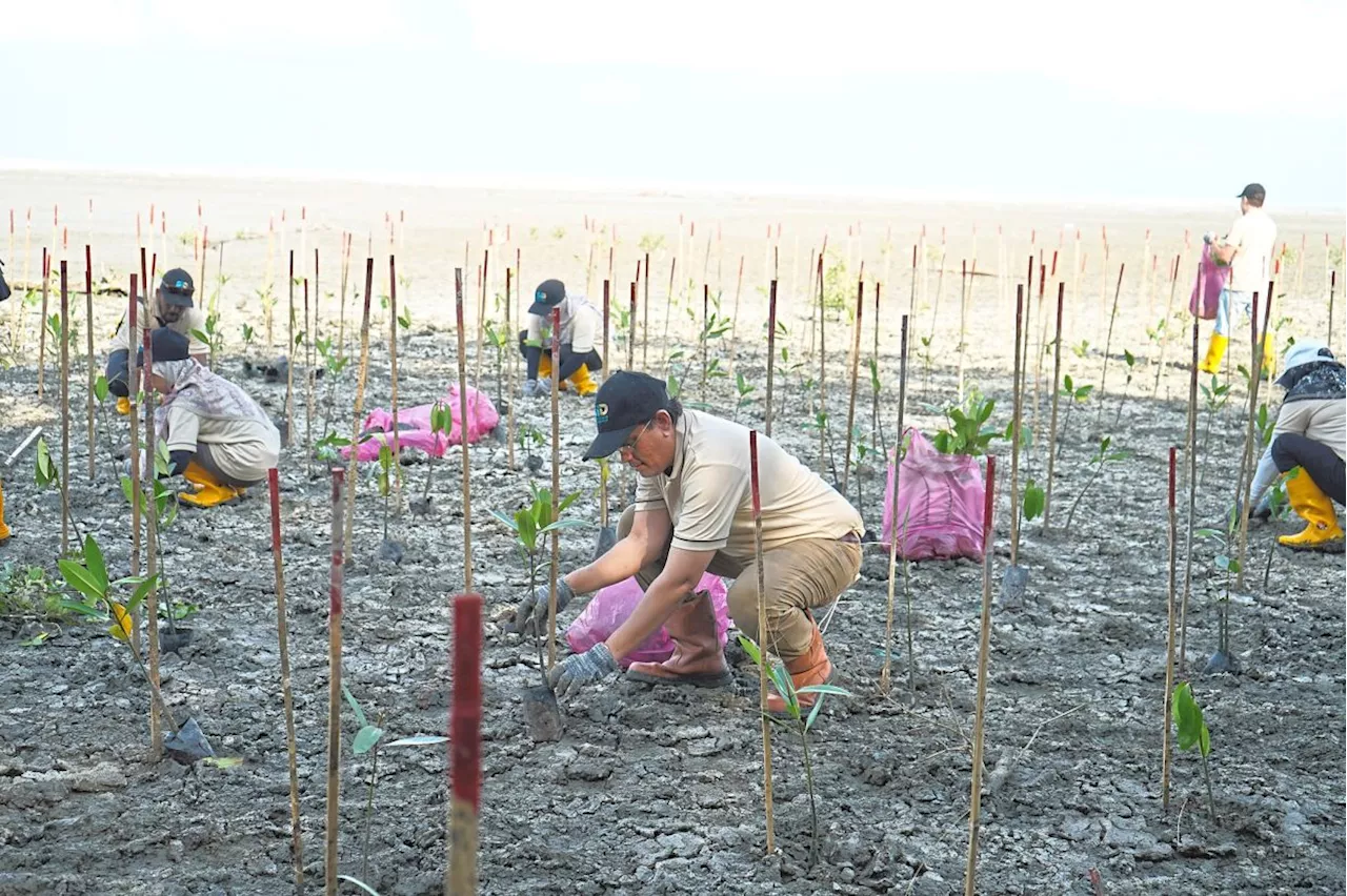 Sowing seeds of climate resilience