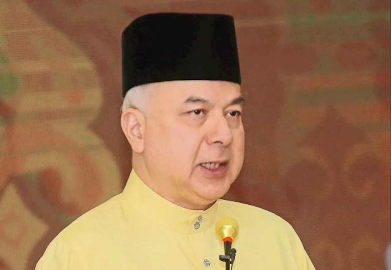 Sultan Nazrin is new MKI chairman