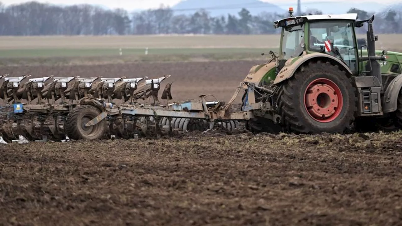 Agrar: Thüringen verliert mehr als 100 Betriebe binnen drei Jahren