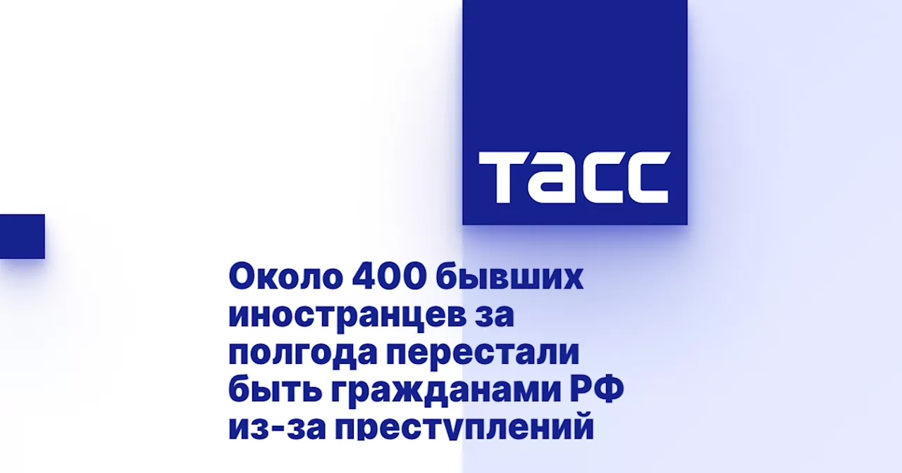 Около 400 бывших иностранцев за полгода перестали быть гражданами РФ из-за преступлений