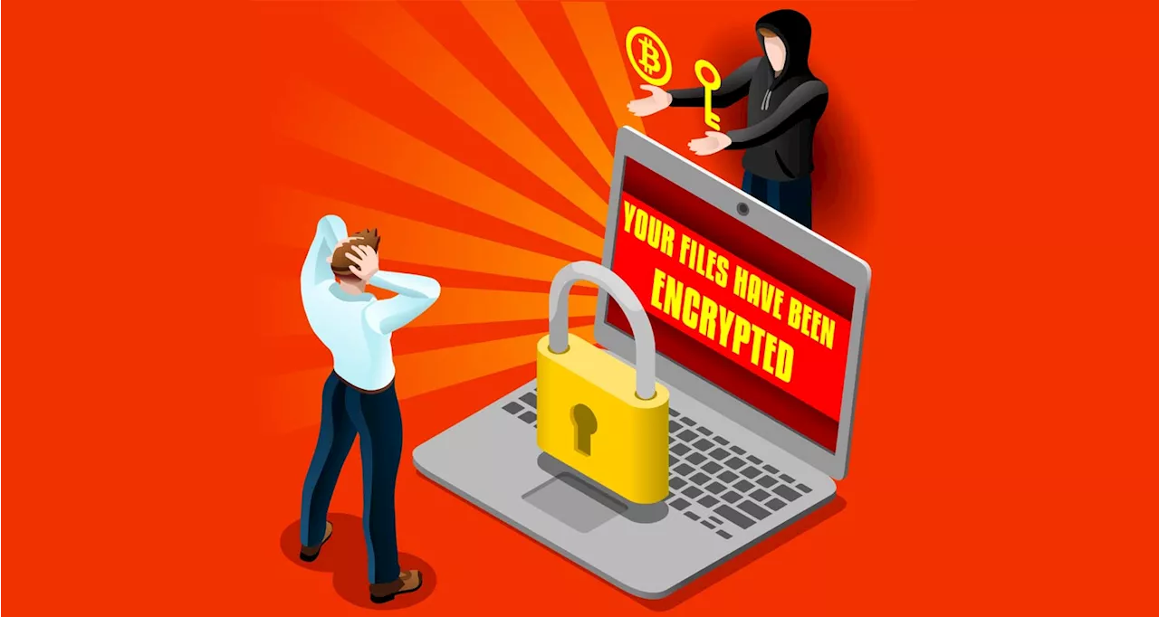 How much South African firms pay ransomware gangs