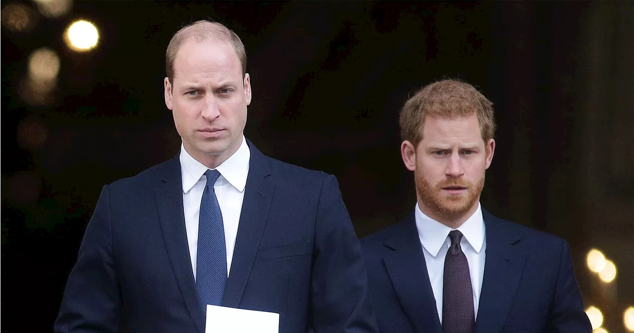 Prince William Is ‘A Bit Envious’ of Prince Harry: Sources