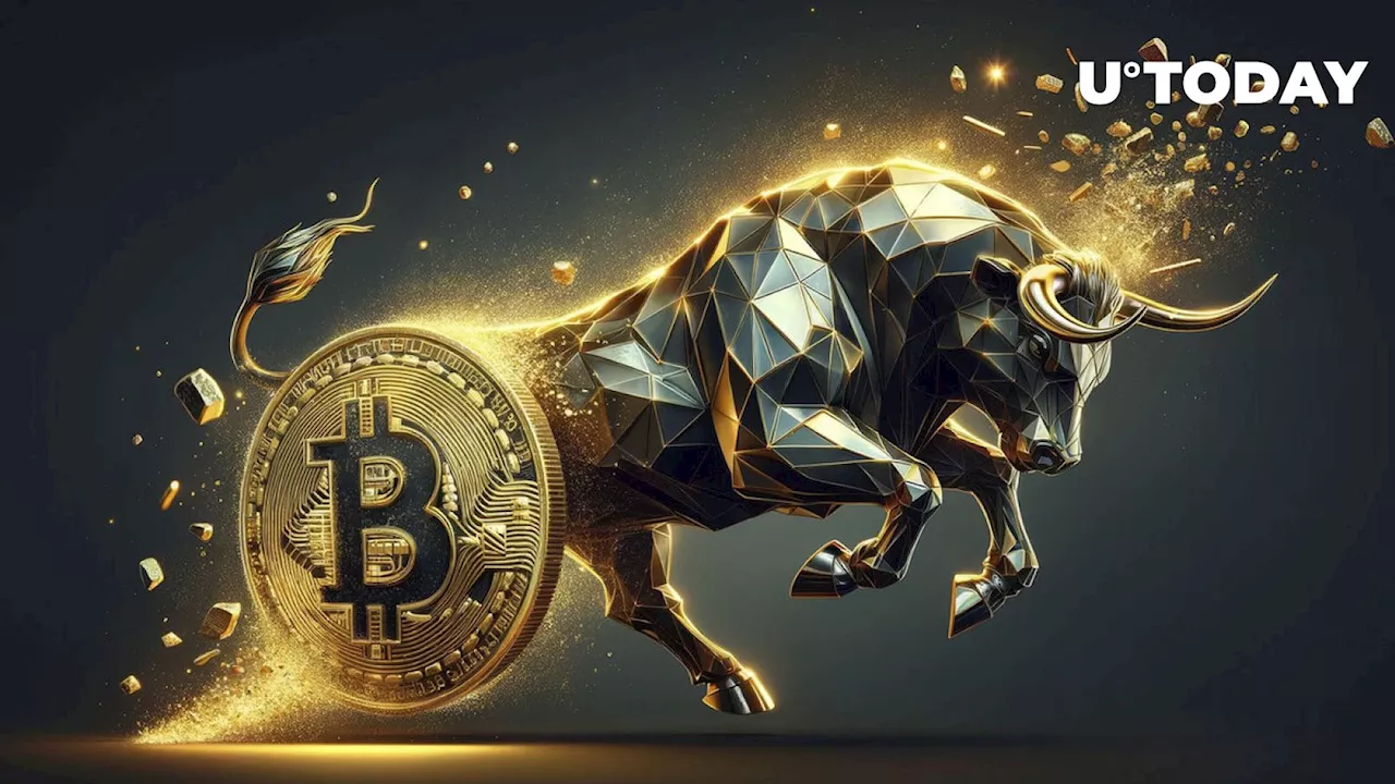 Bitcoin's Price History Points to Bull Run in 120 Days at Most