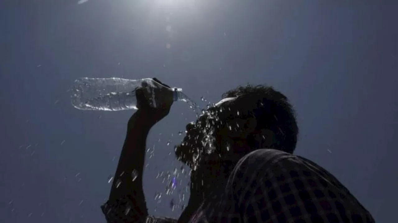 Kerala weather: സംസ്ഥാനത്ത് കൊടും ചൂട് തുടരും; പാലക്കാട് ഓറഞ്ച് അലർട്ട് തന്നെ, 2 ജില്ലകളിൽ യെല്ലോ അലർട്ട്