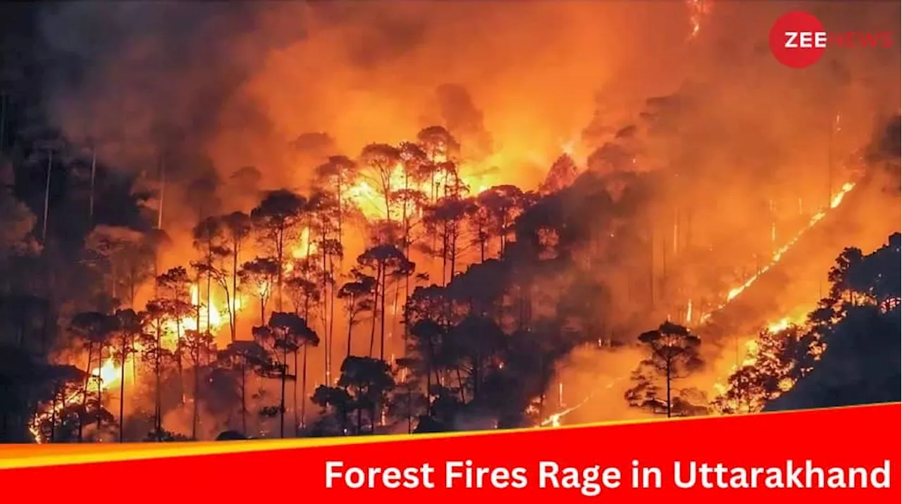 Uttarakhands Worst Nightmare: Forest Fires Rage As April Records Driest Weather In Half A Decade