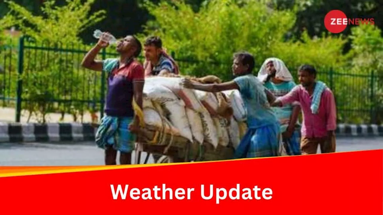 Weather Update: IMD Alerts For Heat Wave In Bihar, Odisha, Check Forecast For All States Here