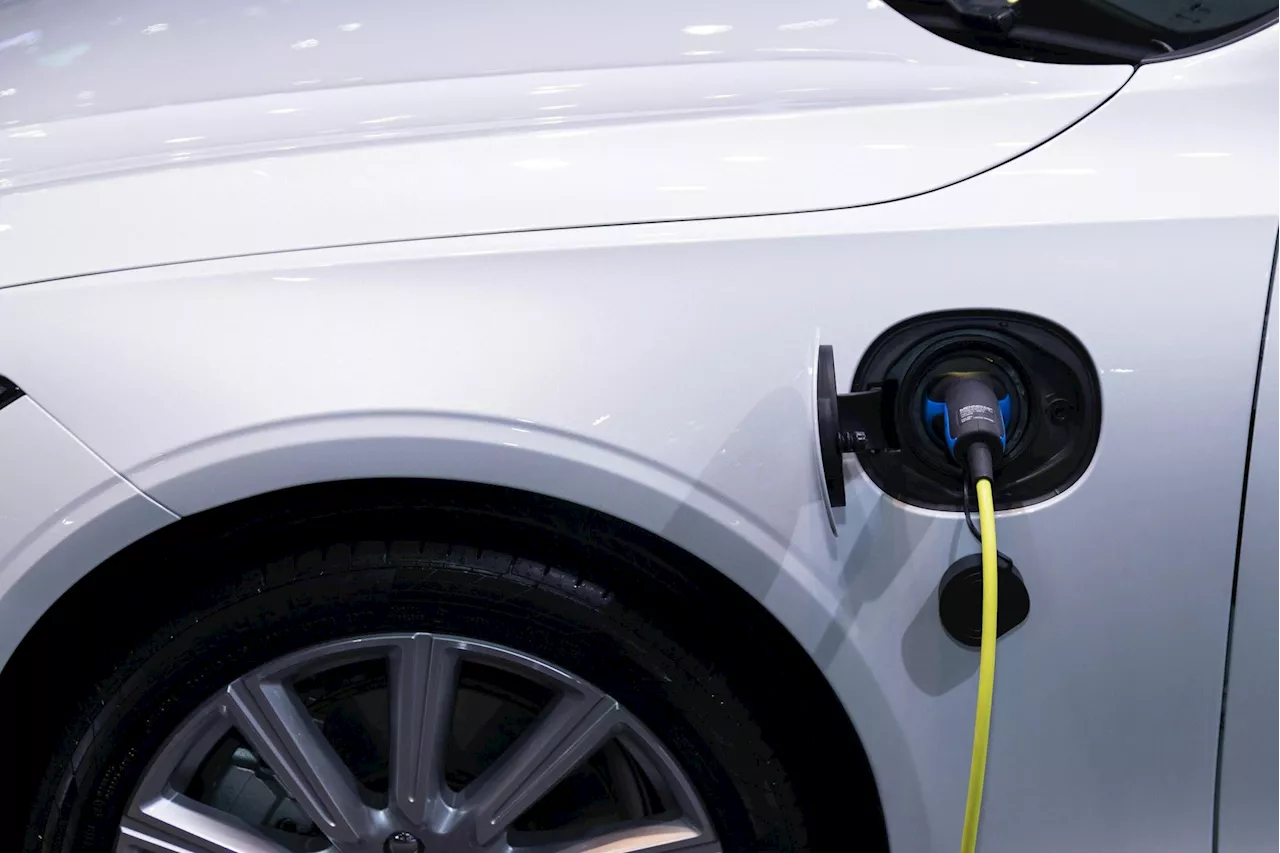 EV Adoption in Ireland: AA Ireland Customer Survey Sheds Light on EV Reality