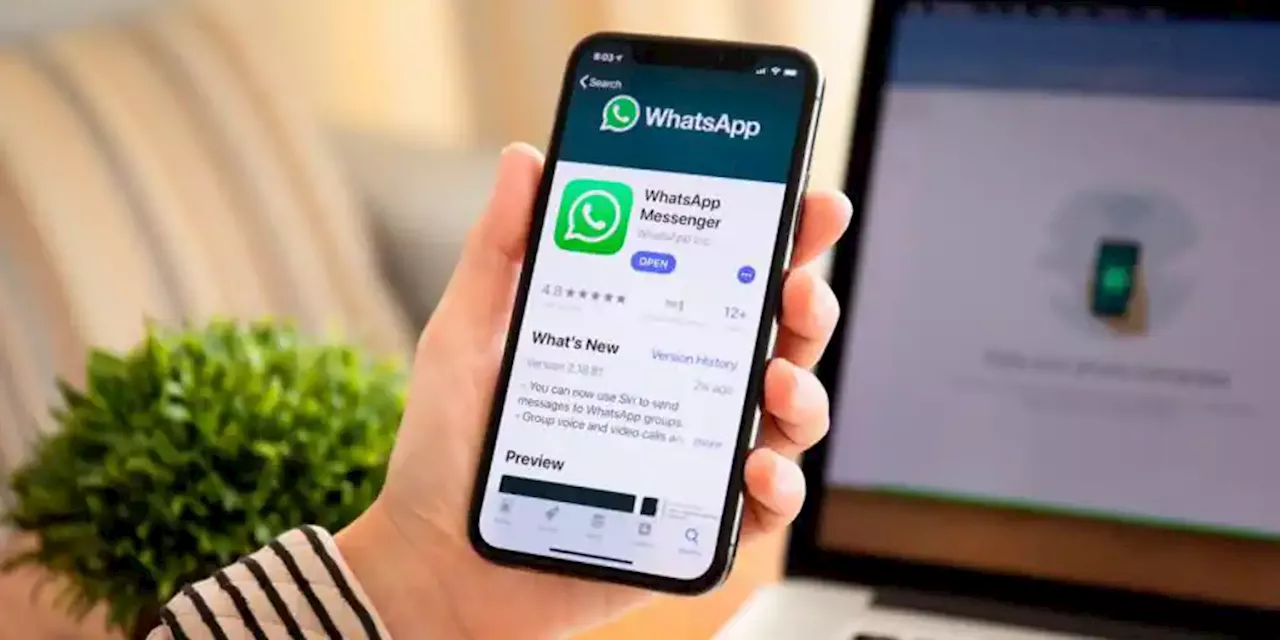 Meta AI: el asistente virtual de WhatsApp basado en inteligencia artificial generativa