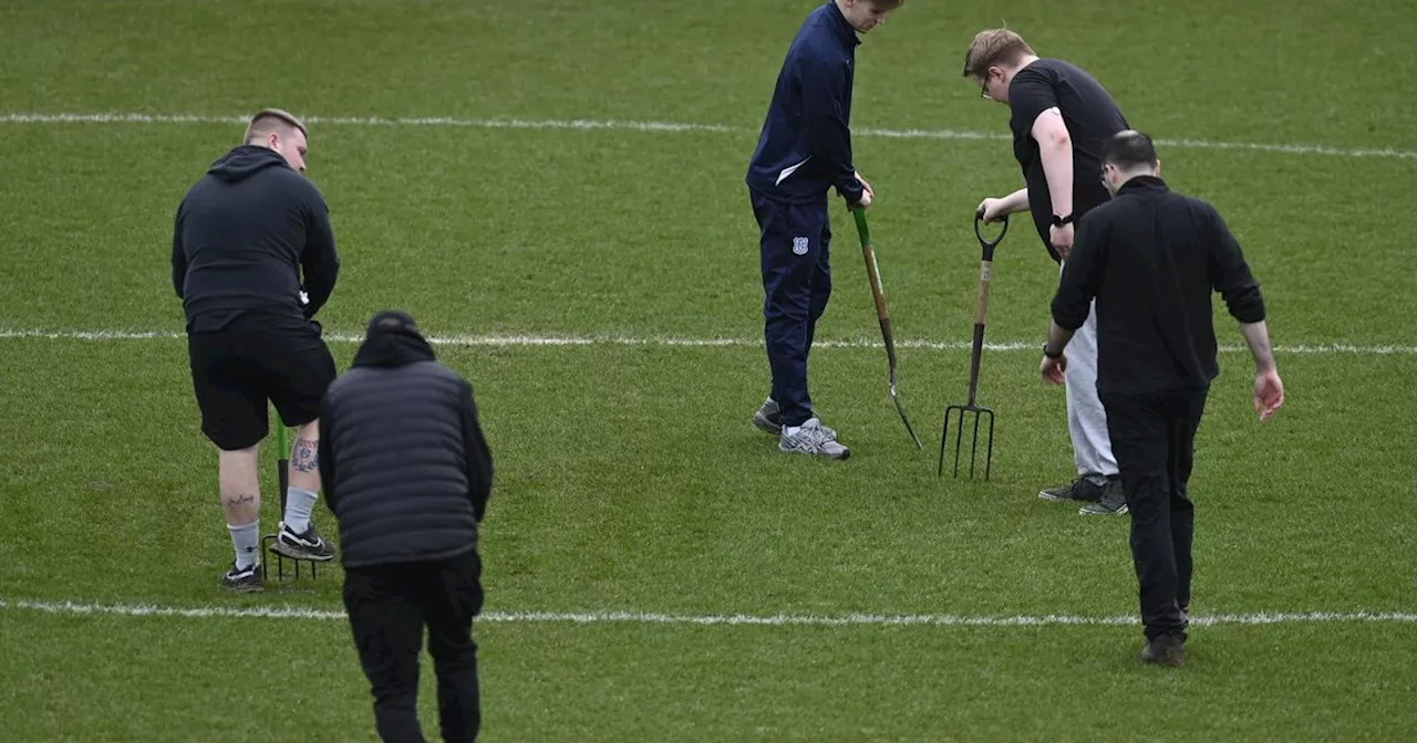 Celtic pitch in as Dundee in bid to get Motherwell and Rangers games on at Dens