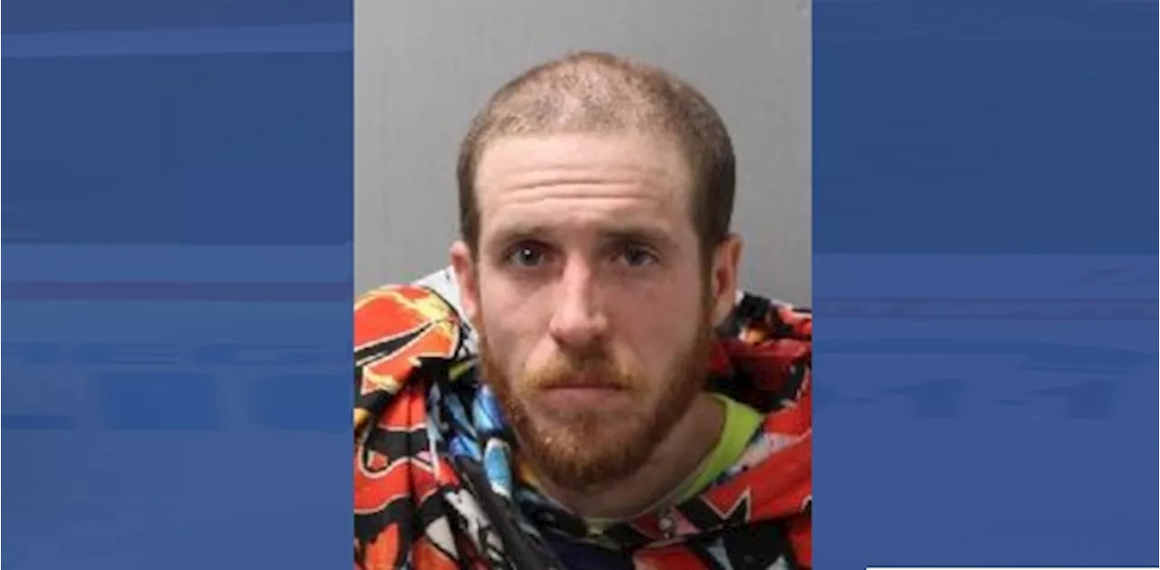 Whitby man facing luring charges; DRPS think there could be more victims