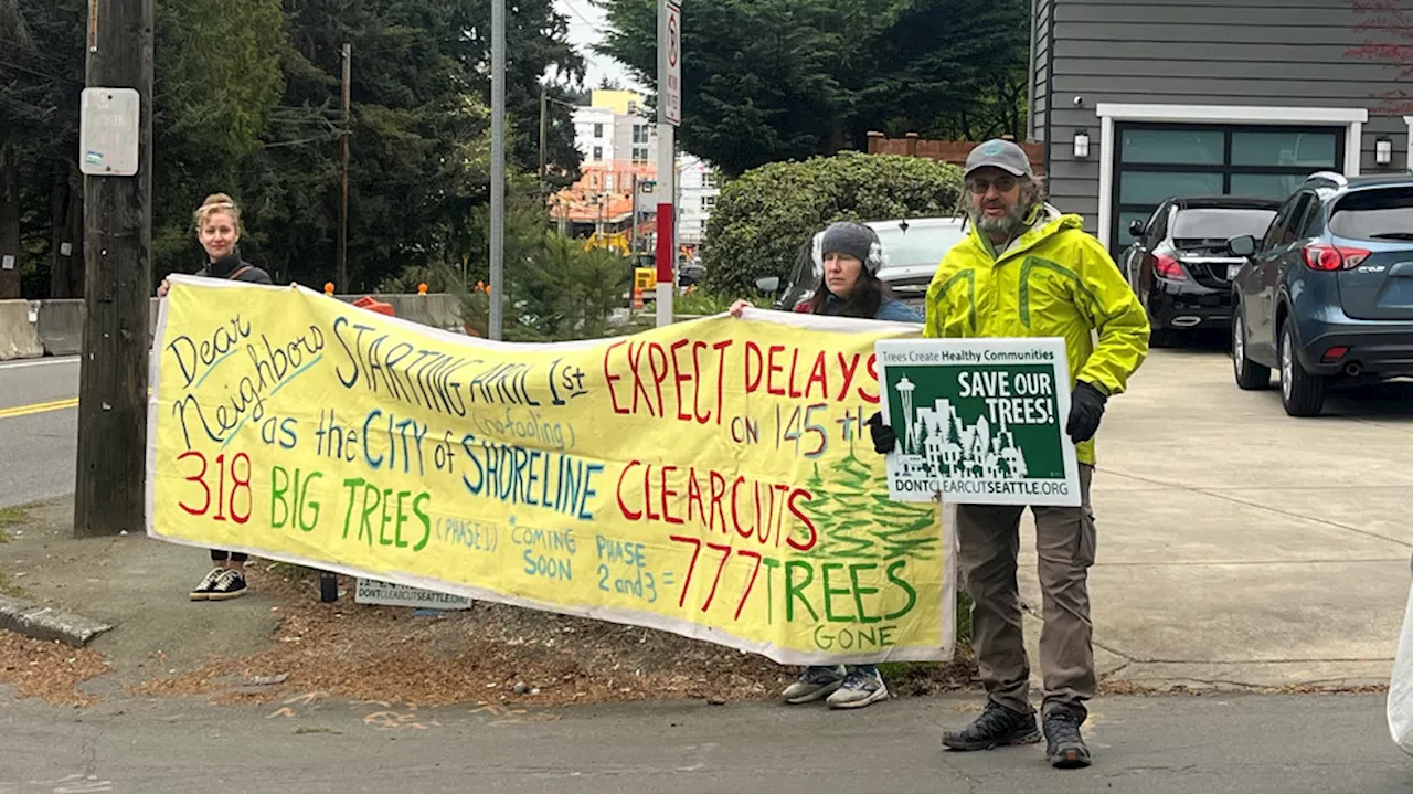 Protesters gather as extensive tree removal begins for Shoreline transportation project