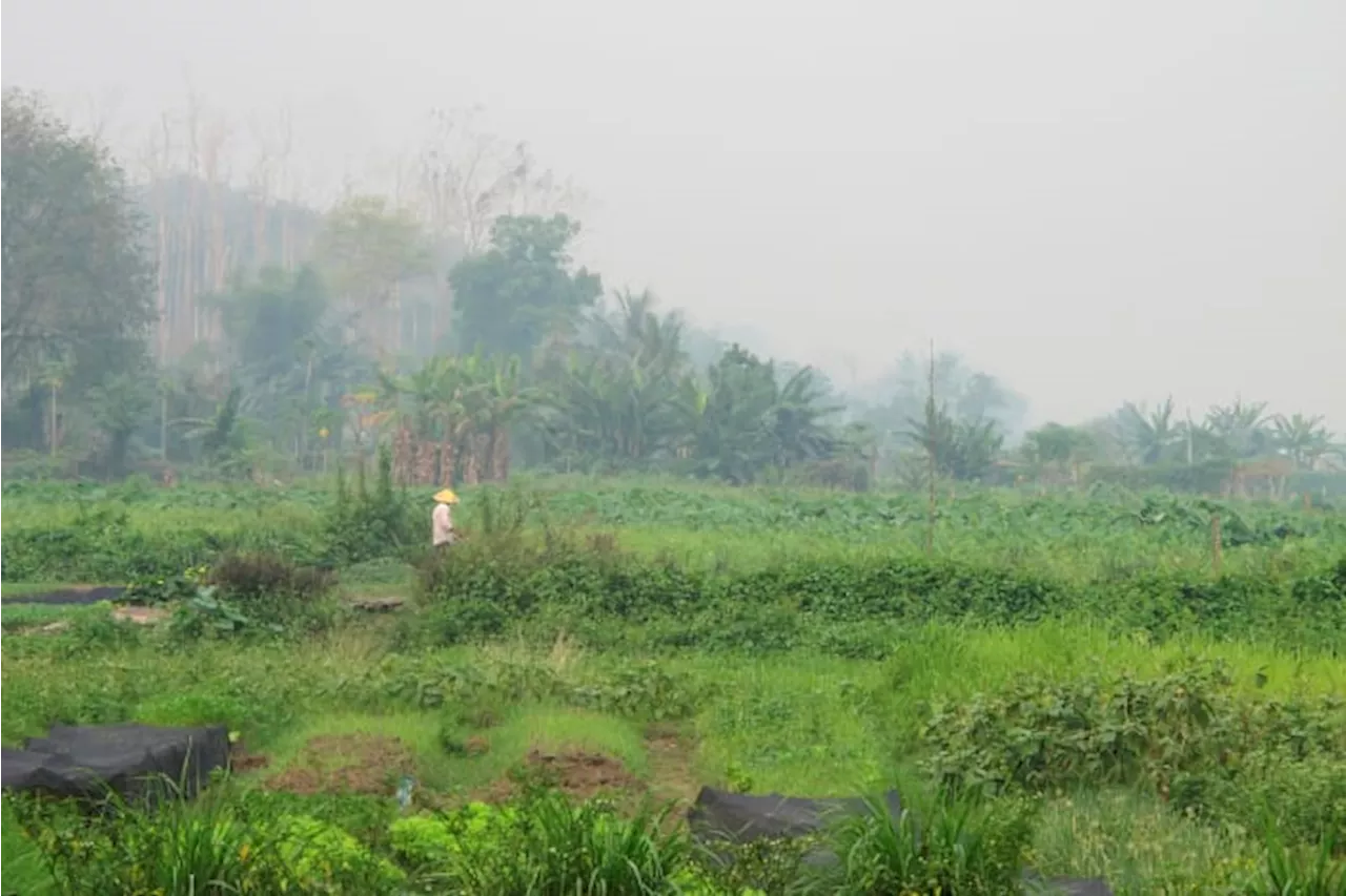 Southeast Asian countries consider ways to boost 'green financing' as region chokes on smog