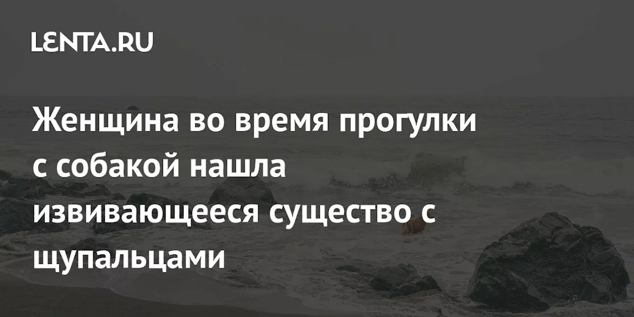 Женщина во время прогулки с собакой нашла извивающееся существо с щупальцами