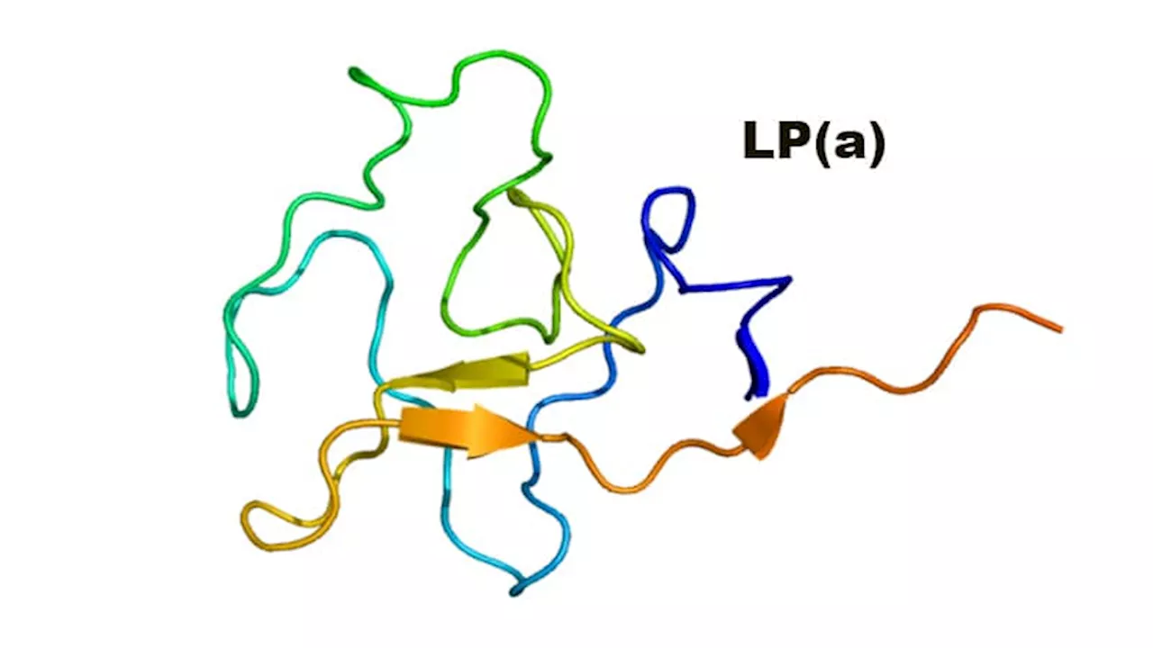 Lp(a) Tied to Higher CVD Events; Risk Reduction With IPE