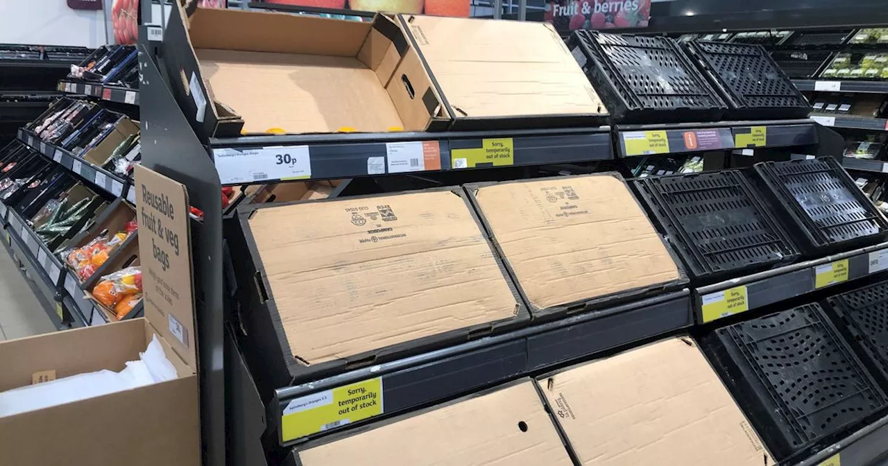 'Empty shelves' warning amid new 'last-minute' post-Brexit charge