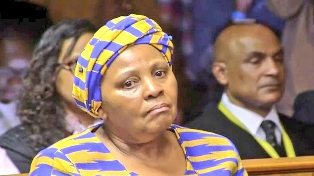 Mapisa-Nqakula bringing up condition of prisons is ironic: Naidoo - SABC News