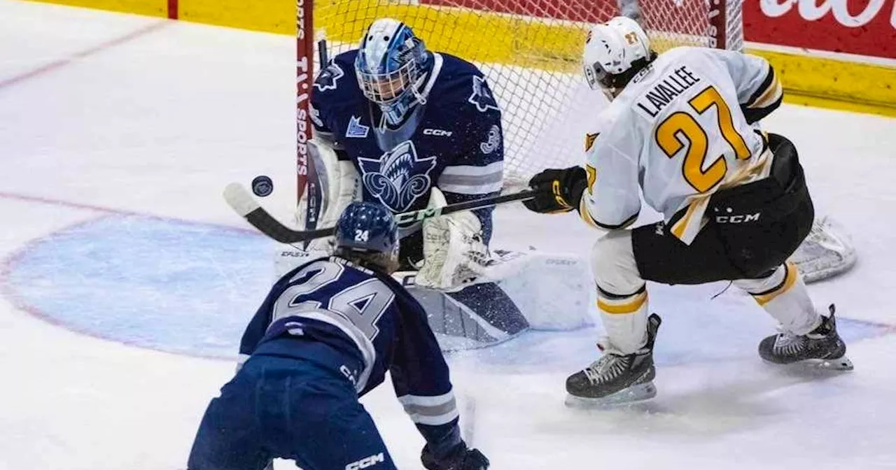 QMJHL PLAYOFFS: Rimouski Océanic stay alive with Game 4 win over Cape Breton Eagles on Wednesday