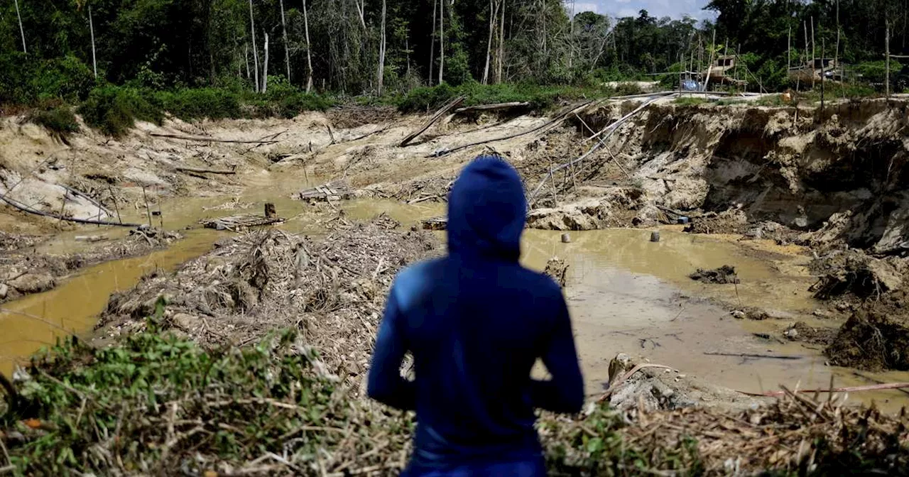 Estudo da Fiocruz aponta contaminação por mercúrio no povo Yanomami