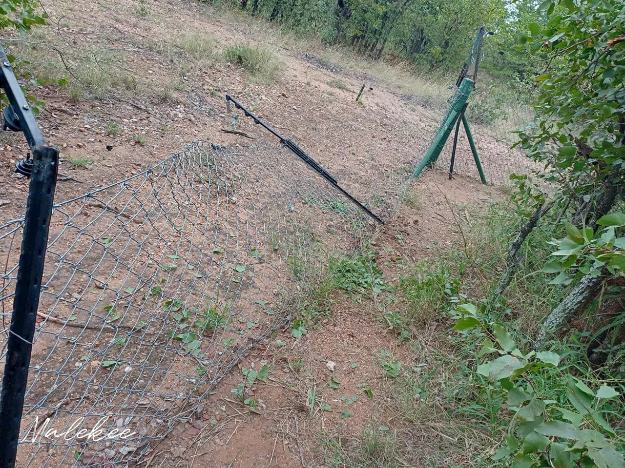 Elephant breaks into Kruger National Park rest camp