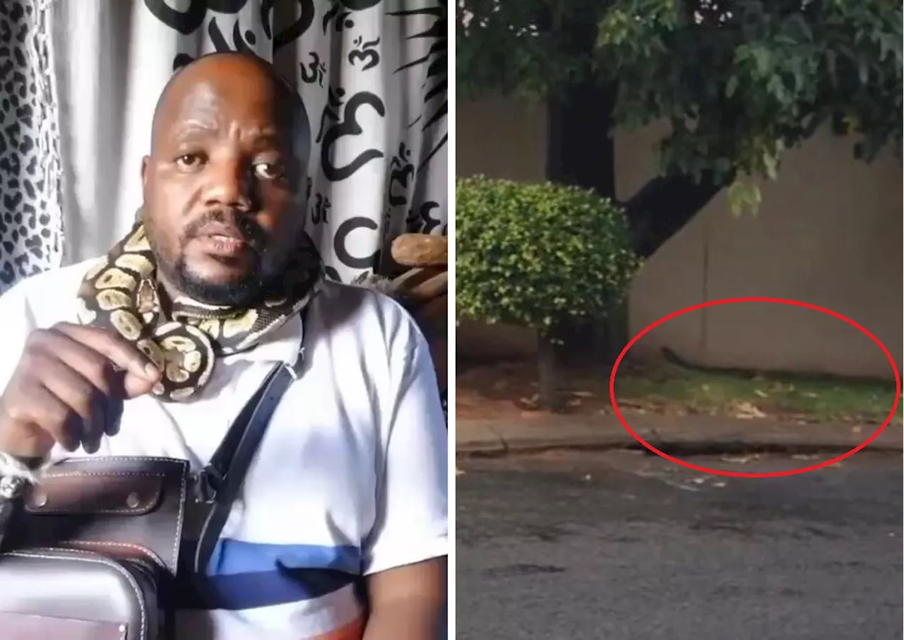 Former National Assembly Speaker's Home Visited by Snake