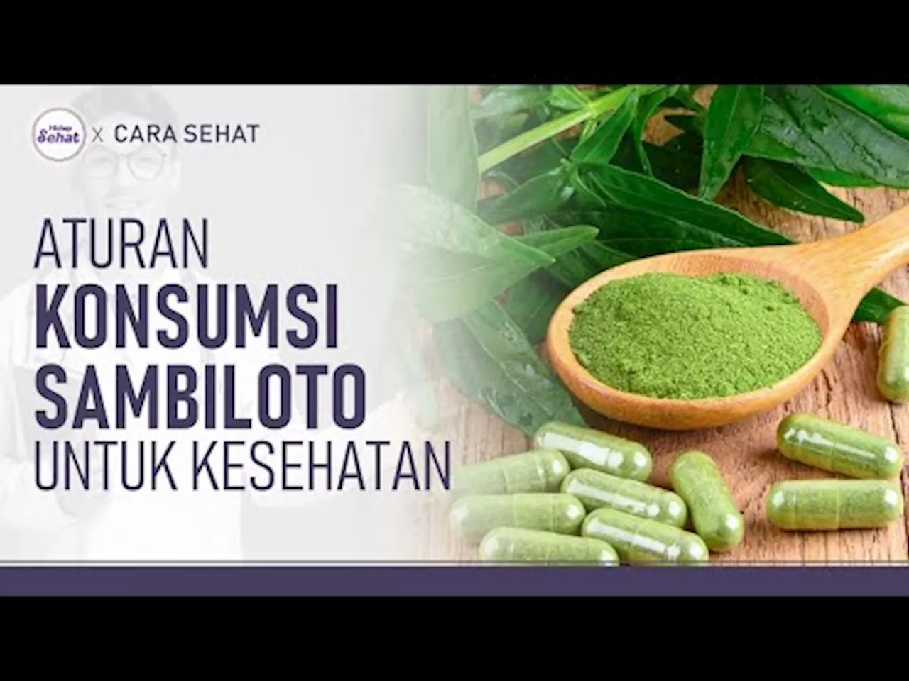 Ingin Konsumsi Sambiloto Sebagai Obat? Ini Aturannya