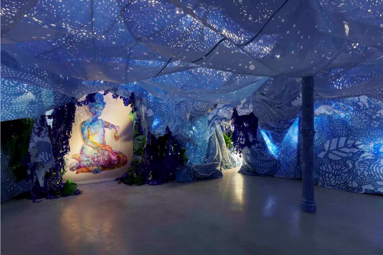 5 things to do this weekend, including Firelei Báez at the ICA and nasturtiums at the Gardner