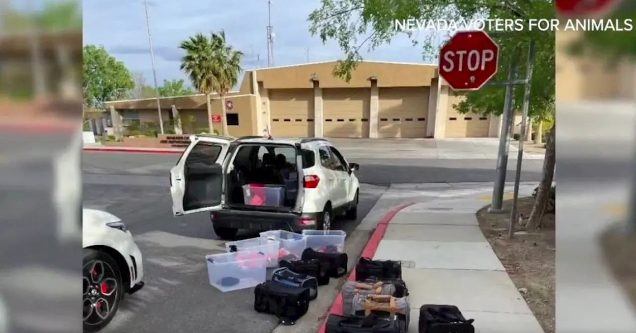 Las Vegas Couple Arrested for Hoarding Nearly 200 Animals