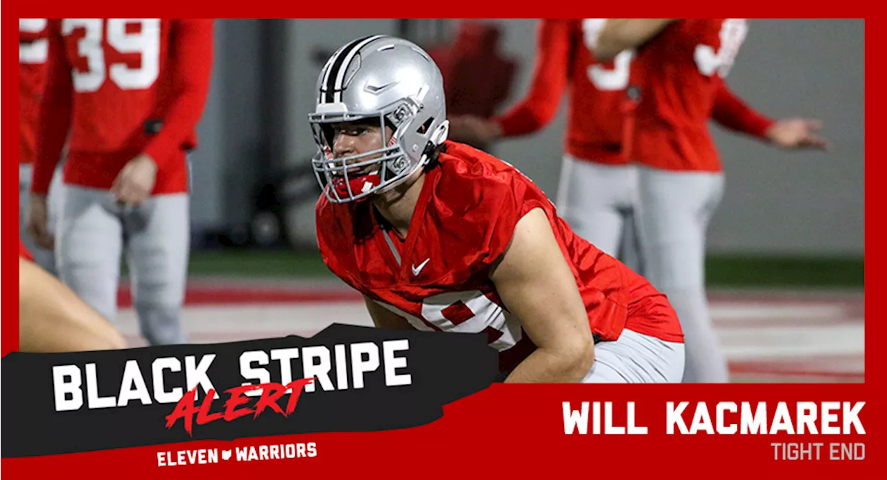 Ohio Tight End Transfer Will Kacmarek Sheds Black Stripe After 11 Ohio State Practices