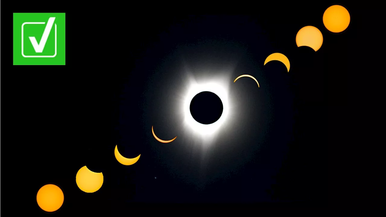 Can total solar eclipses affect animal behavior?