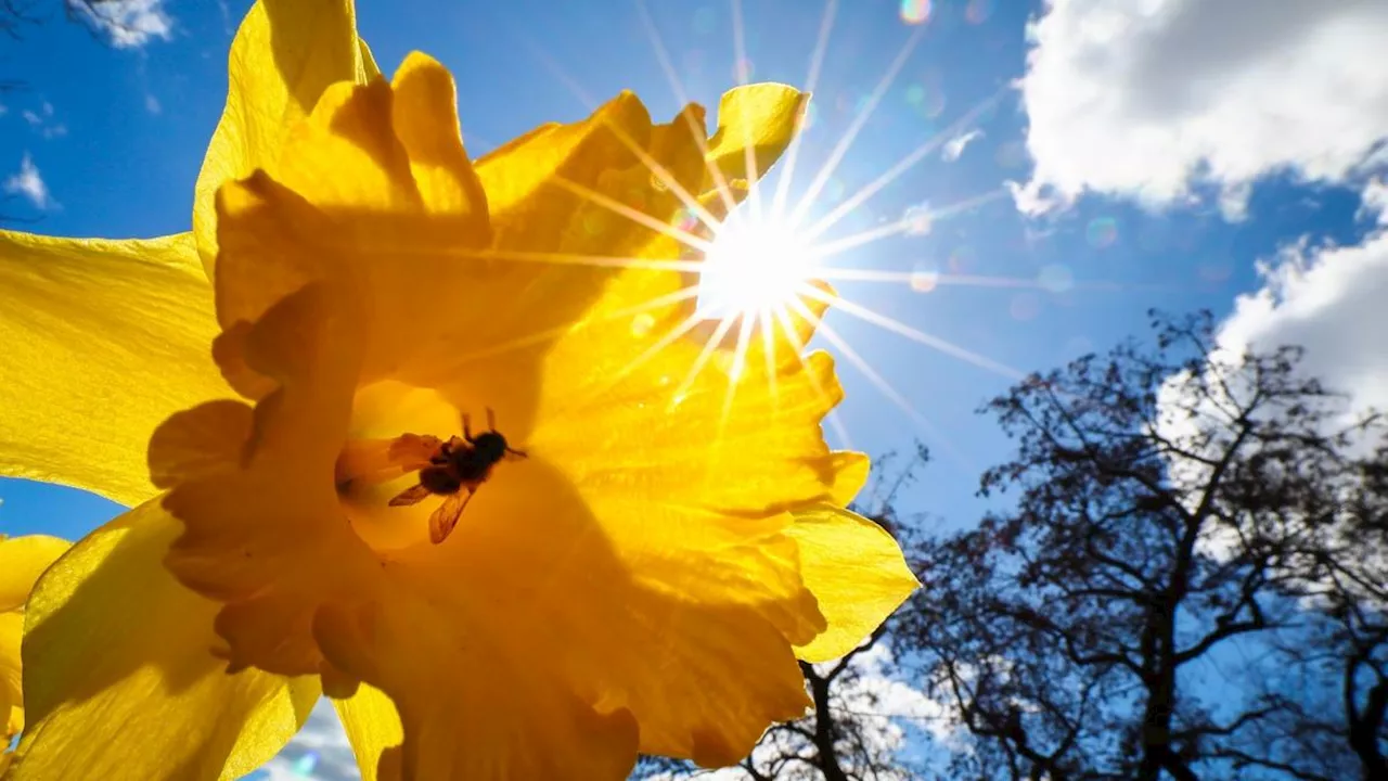 Sommer bist du's? So wird das Wetter am Wochenende in BW