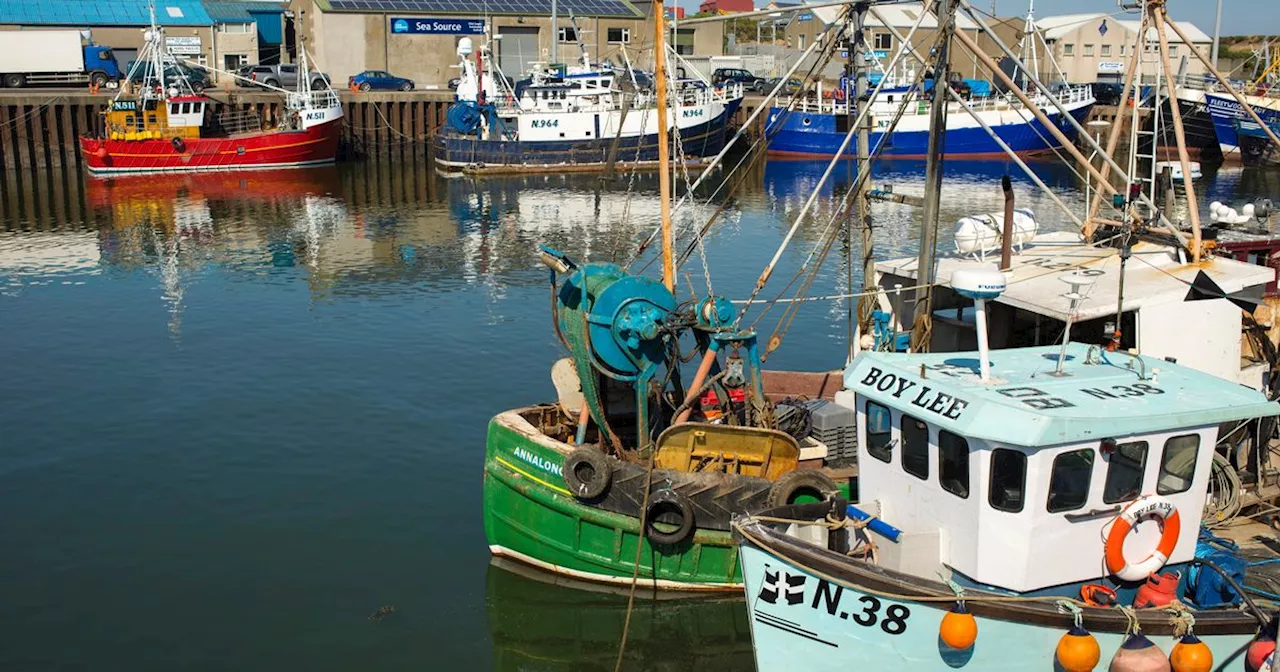 Northern Ireland fishing fleet district calls for relaxed immigration laws