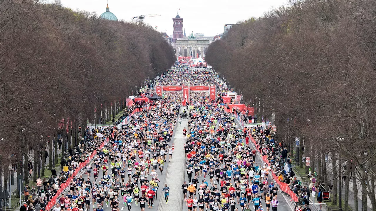 Marathon Ereignisse Halbmarathon Berlin 2024 Die Strecke und die