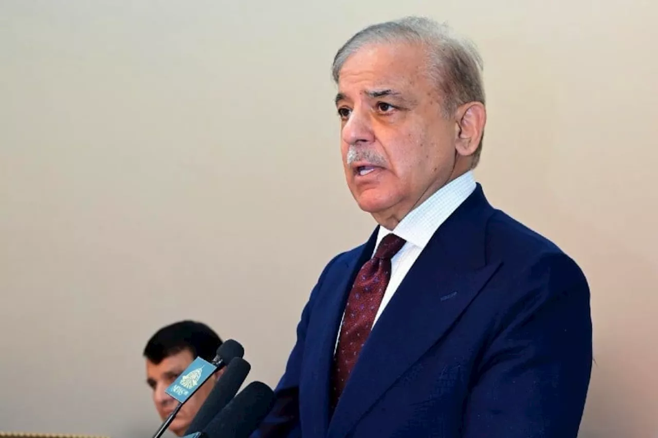 PM Shehbaz directs for fool-proof security of Chinese nationals