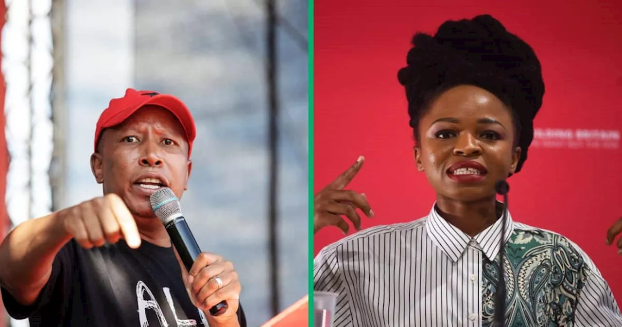 Economic Freedom Fighters Leader Julius Malema Speaks Highly of Naledi Chirwa: “We Are Grooming Her”