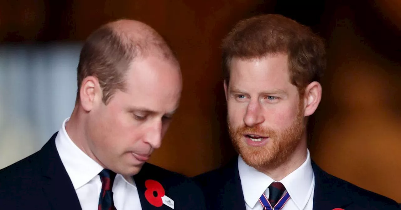 Prince Harry 'forced' to meet with King Charles and William on next UK trip