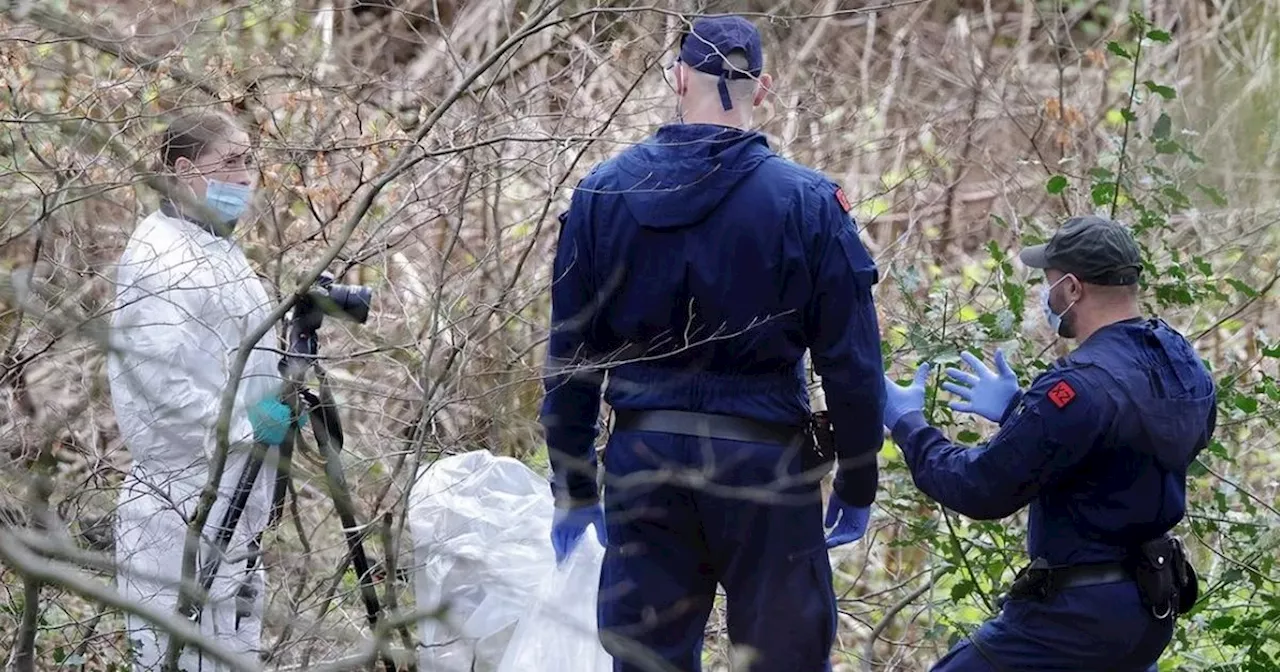 Residents in shock after human torso found yards from homes