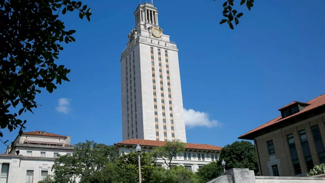 UT professors demand layoffs reversed, say cuts in wake of DEI ban violate rights