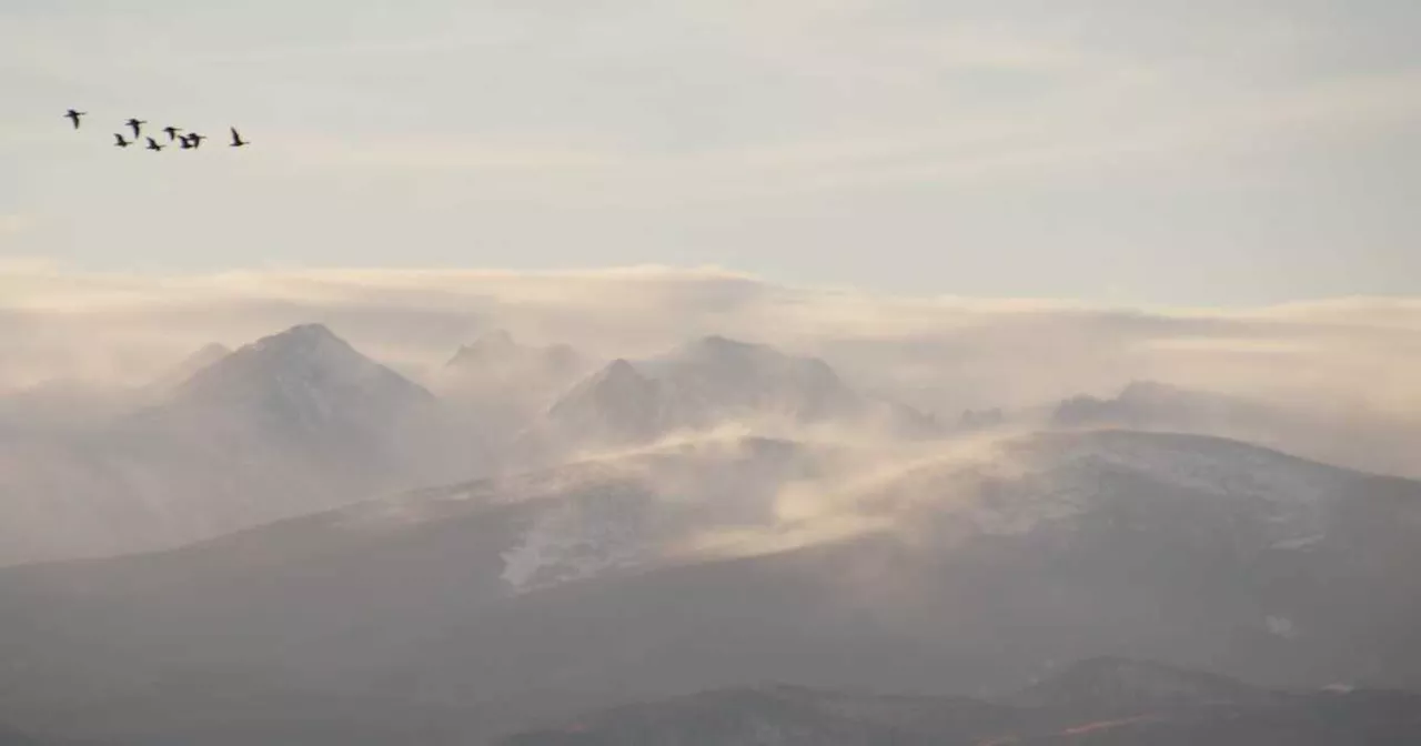 100 mph winds possible in Colorado, high gusts expected in Denver this weekend