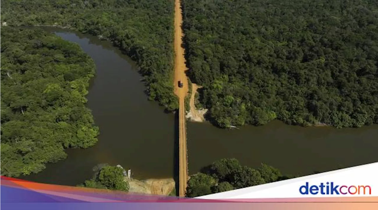 Penampakan Pembangunan Jalan Raya yang Membelah Hutan Amazon