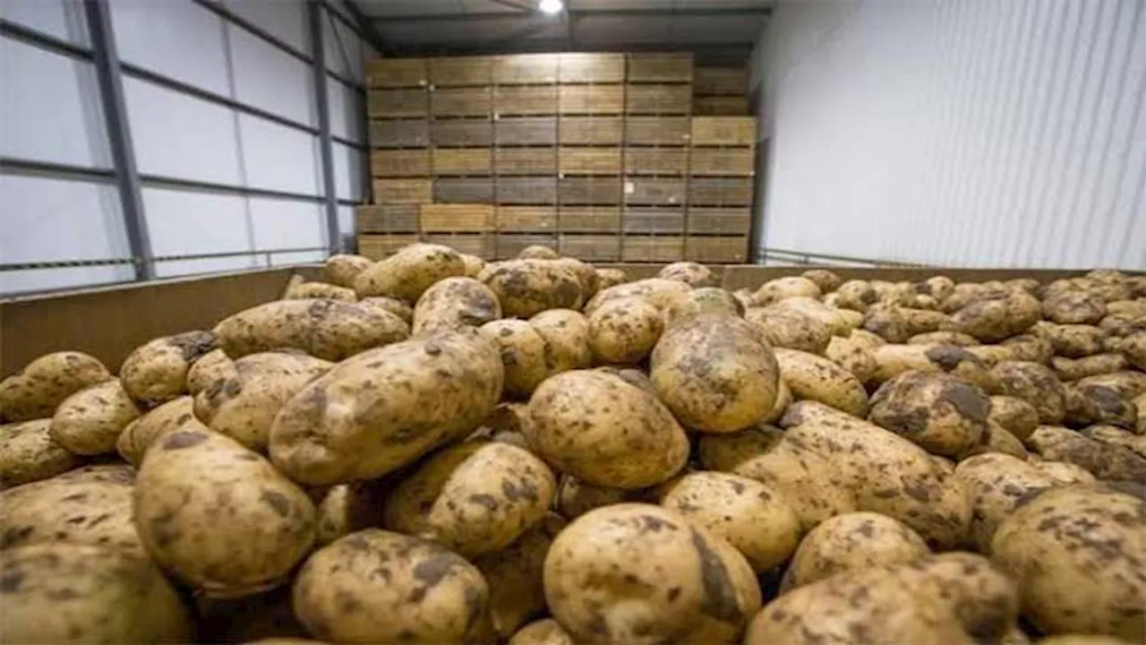 Pakistan opens trade gateway to Central Asia with potato shipment to Tajikistan