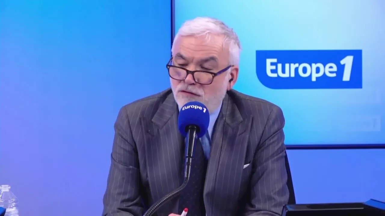 Pascal Praud revient sur l'arrêté ministériel concernant les chiens en laisse dans les bois