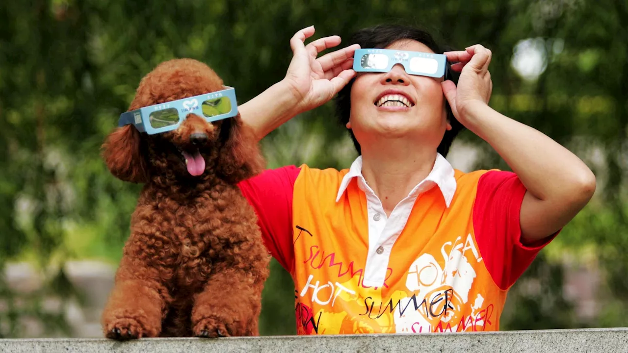 Here's How To Keep Your Eyes, Children And Pets Safe During The Total Solar Eclipse