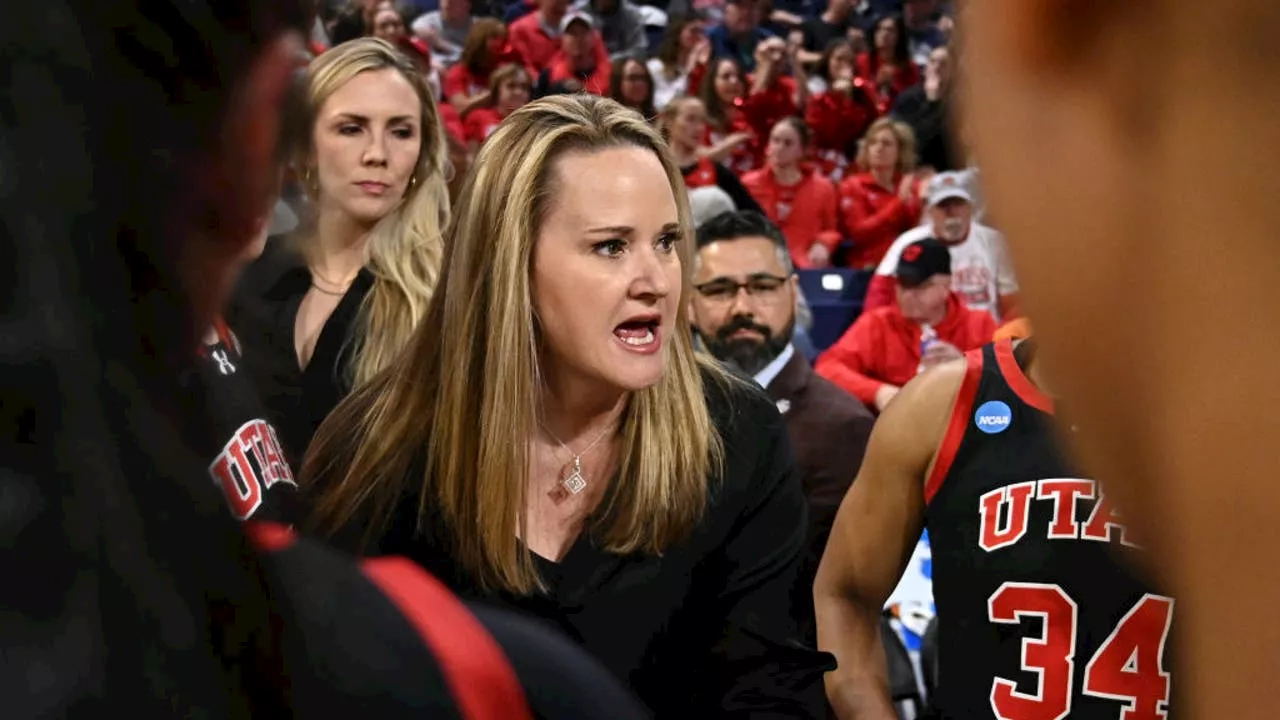 Police confirm 'clearly audible' racial slur aimed at Utah team